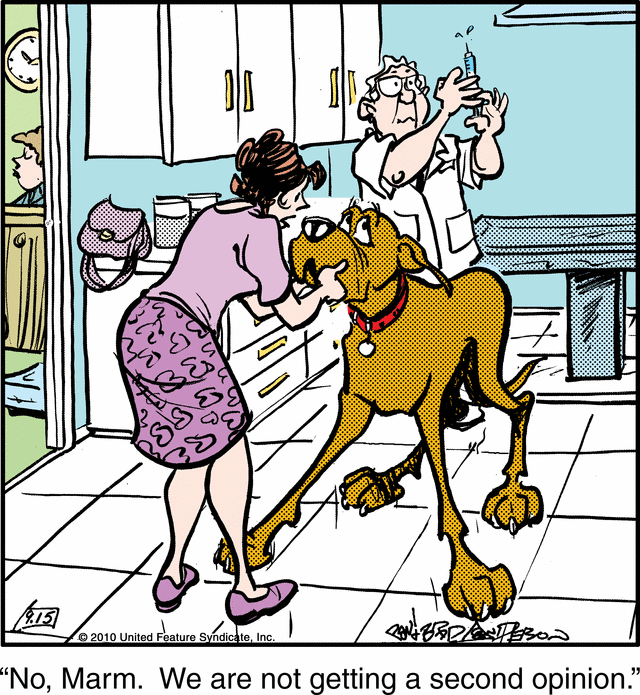 marmaduke
